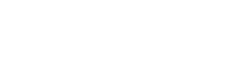 BSA logo