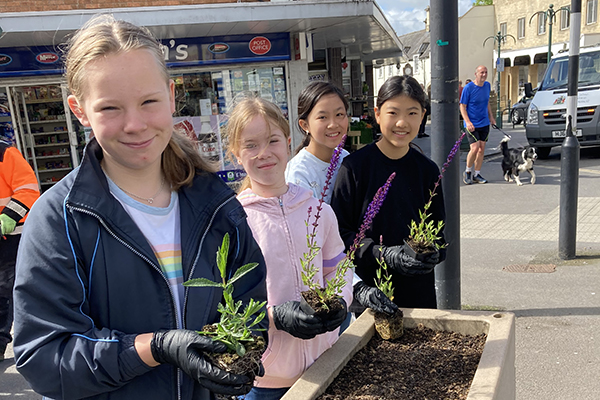 calne planting tn