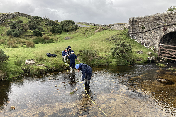 Dartmoor TN