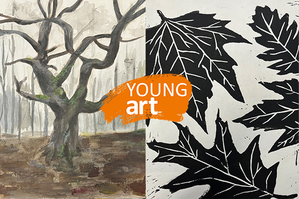 YoungArt TN